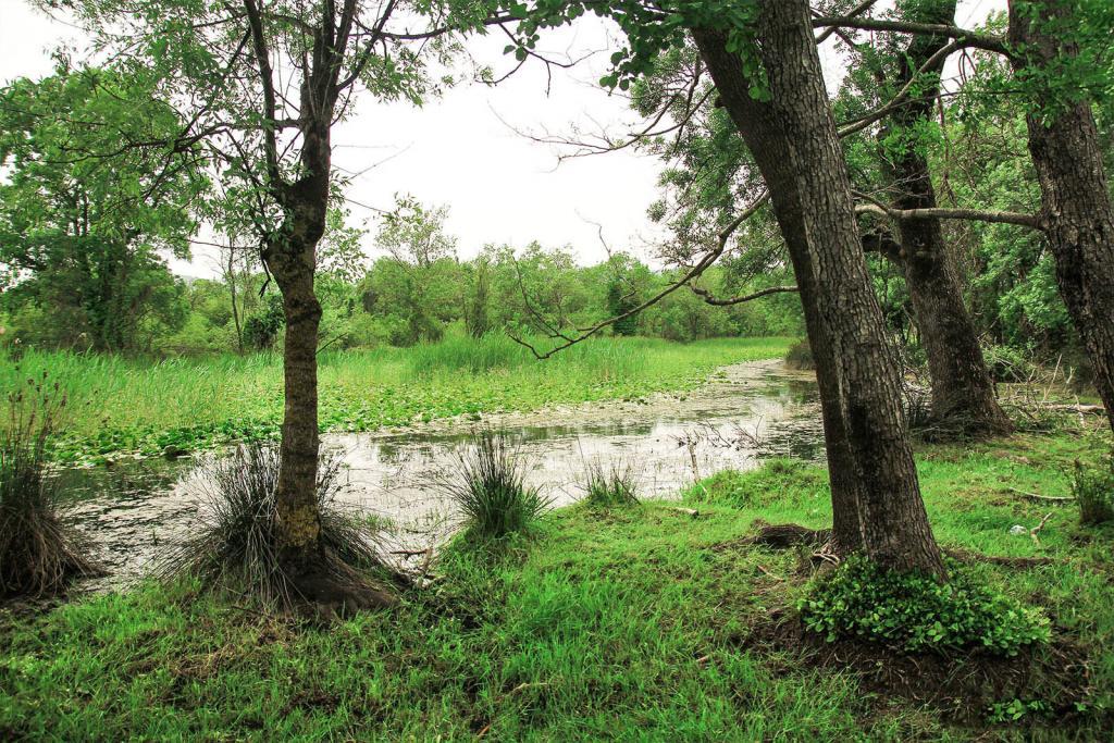 Bursa Karacabay Floodplain Forest