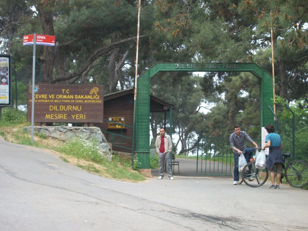 Dilburnu Picnic Area - Big Island