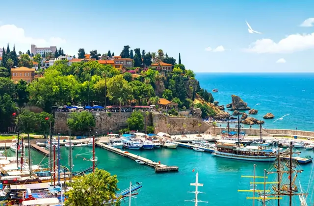 La marina del Kaleici di Antalya in una luminosa giornata estiva, con golette tradizionali dagli alti alberi ormeggiate lungo moli di pietra, la verde collina alberata della città vecchia che si innalza sopra le mura medievali e un gabbiano solitario che plana sul Mediterraneo aperto.