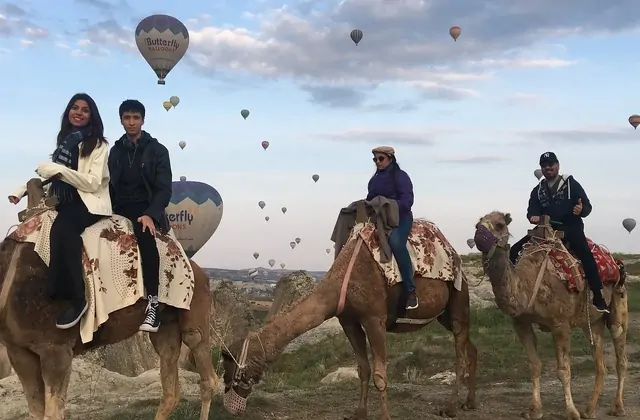 Expediciones de trekking en camello a través de paisajes áridos donde los participantes experimentan métodos de traversal beduinos tradicionales.