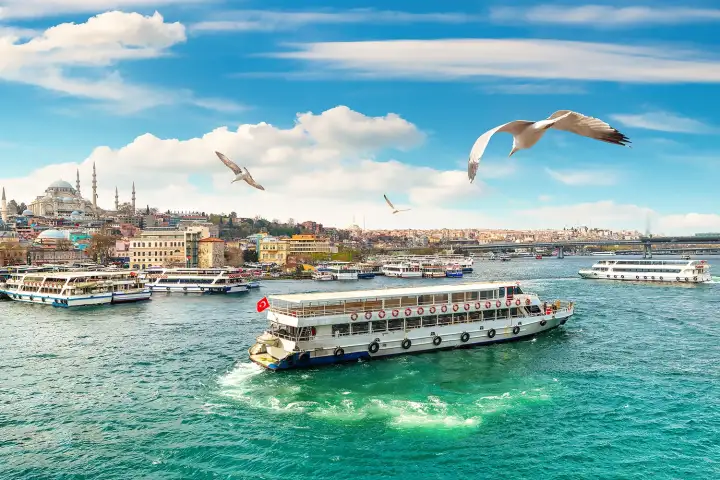 A Bosphorus ferry sails through Istanbul's sparkling waters while seagulls glide overhead, capturing the lively atmosphere of a classic sightseeing cruise on the famous strait.