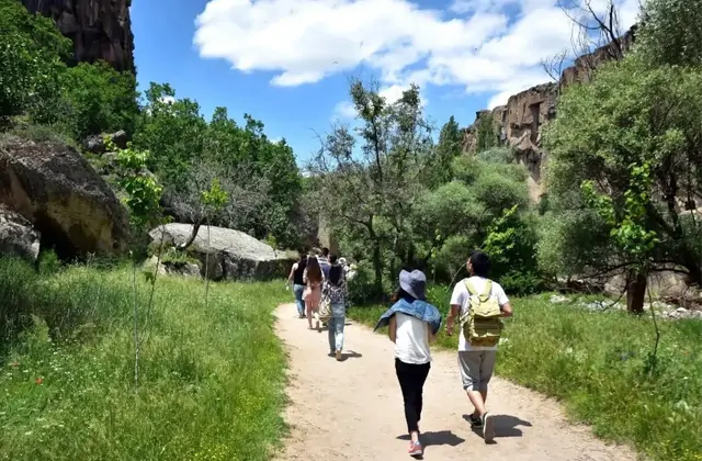 Fiori selvatici e canne che crescono lungo le rive del fiume Melendiz nella Valle di Ihlara, visitata durante il Green Tour della Cappadocia. La biodiversità di questa gola riparata in Turchia contrasta nettamente con l'arido altopiano sovrastante.