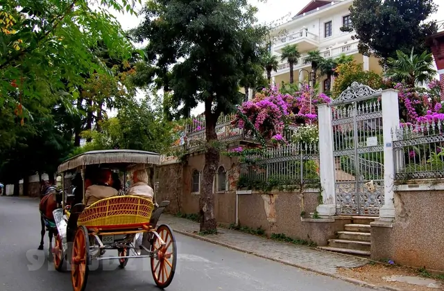 Carrozza trainata da cavalli in una strada tranquilla dell'Isola dei Principi a Istanbul