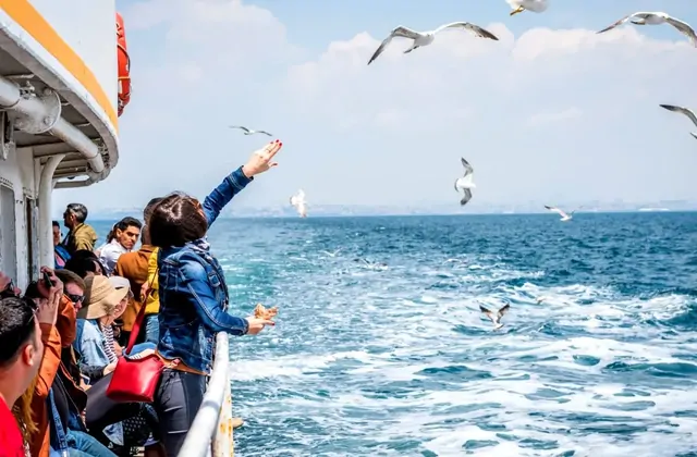 Viaggio in traghetto con gabbiani sul mare vicino all'Isola dei Principi a Istanbul
