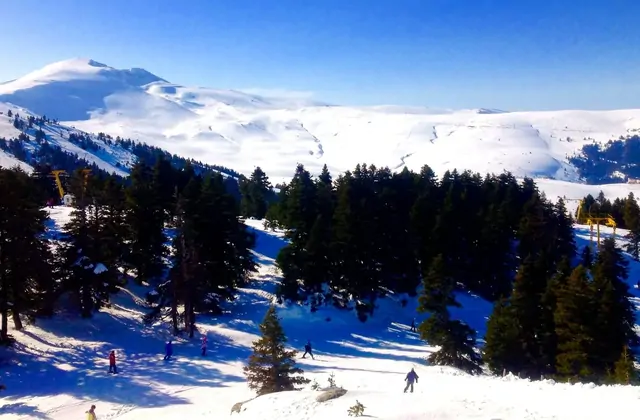 Paesaggio invernale innevato a Uludağ