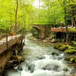 Tour di Sapanca e Masukiye da Istanbul