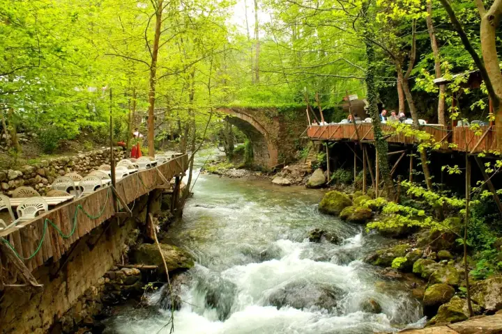 Vista di ruscello nel bosco e ponte rustico nell'area naturale di Masukiye