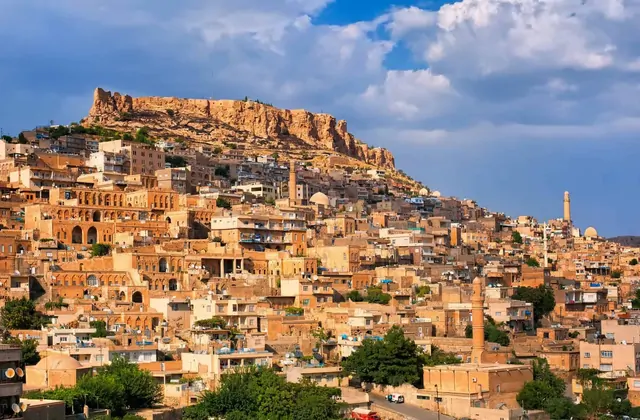 Panorama de la ciudad vieja de Mardin con históricas casas de piedra en Turquía