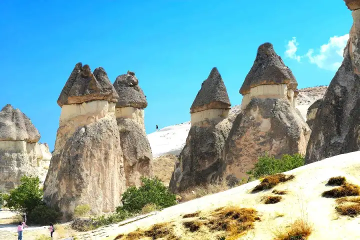 Visitatori che camminano attraverso la Valle dei Monaci Paşabağ in Cappadocia circondati da alte formazioni di camini delle fate, una classica tappa nell'itinerario guidato del Red Tour.