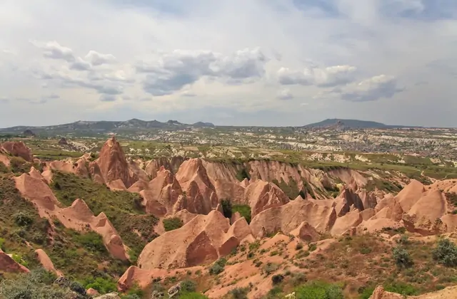 Vineyard terraces winding through Güllüdere (Rose Valley) in Cappadocia, where grapes have been grown for centuries amidst the iconic pink fairy chimneys, seen on the Yellow Tour.