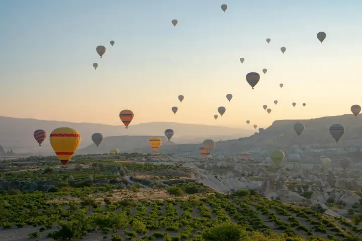 A hot air balloon drifts over a patchwork of vineyards and fairy chimney rock formations in Cappadocia, Turkey, revealing the ancient agricultural landscape from above.