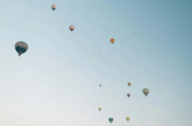 Colori pastello dell'alba — rosa tenue, lavanda e oro pallido — si diffondono sulle valli di erosione della Cappadocia, Turchia, mentre numerose mongolfiere derivano attraverso la delicata tavolozza mattutina.