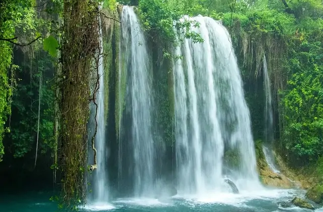 Una cascata alta e stretta al Düden, vicino ad Antalya, scende attraverso un corridoio simile alla giungla di muschio verde vivo, liane pendenti e fitto baldacchino forestale, atterrando in una piccola pozza turchese-blu strettamente incorniciata dalla lussureggiante vegetazione su entrambi i lati.