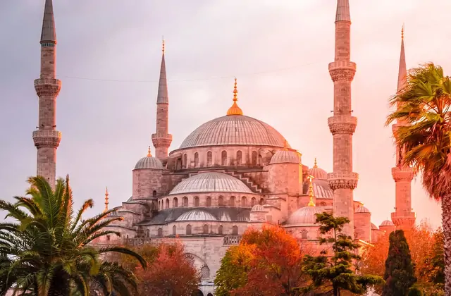 La Moschea di Sultanahmet (Moschea Blu) di Istanbul all'ora d'oro è incorniciata da palme ondeggianti in primo piano, con la facciata in pietra inondata di calde tonalità arancio-rosate del tramonto mentre nuvole leggere striato il cielo pastello dietro i minareti.