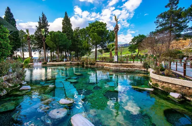 La Piscina Antigua de Cleopatra en Pamukkale en Turquía sin visitantes, secciones de columnas de mármol romano hundidas visibles a través del agua termal turquesa cristalina, pinos paraguas y arbustos en flor bordeando la orilla tranquila.