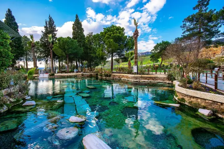 La Piscina Antica di Cleopatra a Pamukkale in Turchia senza visitatori, sezioni di colonne di marmo romano affondate visibili attraverso l'acqua termale turchese cristallina, pini ombrello e cespugli fioriti lungo il bordo tranquillo.