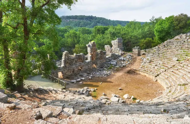 Broad semicircular stone seating tiers of an ancient theater at the Troy archaeological site in Turkey sweep down to a sandy orchestra floor, with collapsed stage-building walls and dense forest rising behind.