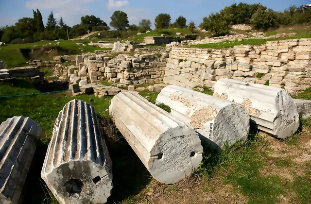 Diversi grandi fusti di colonna in marmo scanalato dell'antica Troia giacciono rovesciati sull'erba accanto a un basso muro di contenimento in pietra a Çanakkale, Turchia, con le loro superfici bianche consunte e scheggiate dopo millenni di esposizione.