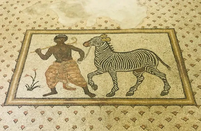 A Roman-era floor mosaic on display in Şanlıurfa depicts a dark-skinned hunter leading a striped zebra on a rope, the tesserae rendered in warm ochre and brown tones with a scalloped floral border, preserved in exceptional detail after nearly two millennia.