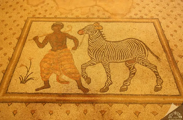 A close-up floor mosaic panel at the Şanlıurfa Museum shows the same hunter-and-zebra scene from a slightly different angle and warmer amber lighting, the handler's flowing trousers and the zebra's striped body rendered in fine tesserae against a neutral background.