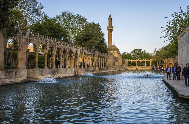 Al final de la tarde, el estanque de Balıklıgöl en Şanlıurfa refleja la arcada de piedra y el elevado minarete de la Mezquita Halil-ur Rahman en sus aguas tranquilas, con dos carpas que rompen brevemente la superficie, visitantes paseando por el paseo junto al estanque y exuberantes copas de árboles