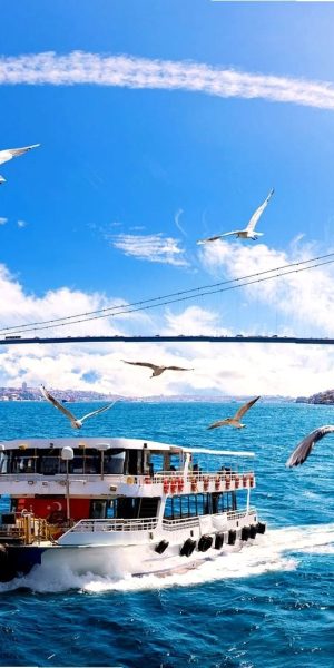 Istanbul Bosphorus Cruise 5