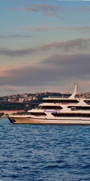 Bosphorus Cruise 4