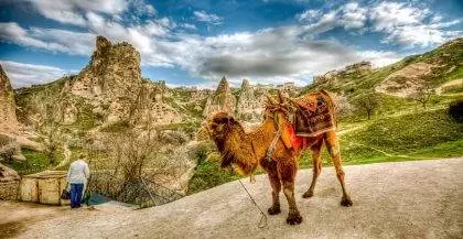 Cappadocia Camel Ride