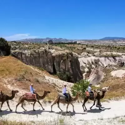 Cappadocia Camel Ride 2