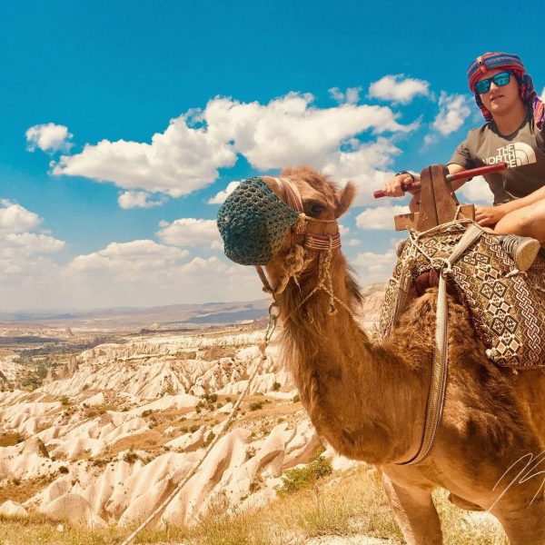 Cappadocia Camel Ride 4
